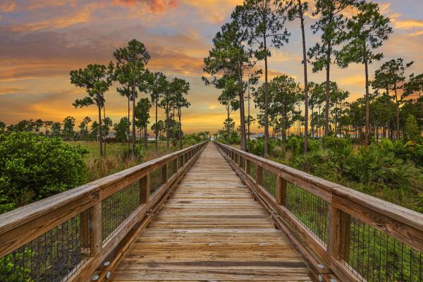 9513 St. Germain Dr, Palm Beach Gardens, Florida 33412, image 3