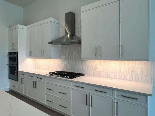 Regency At Avenir, 12173 Arbordale Way, Palm Beach Gardens, Florida 33412, image 3