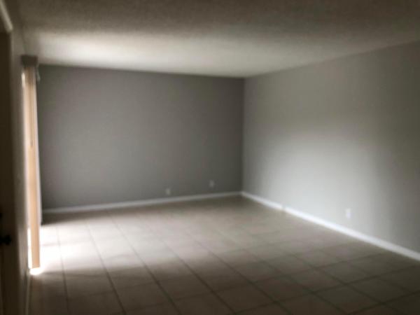 The Pines, 2241 White Pine Cir #B, Greenacres, Florida 33415, image 3