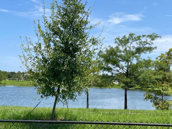 12625 88th Pl N, West Palm Beach, Florida 33412, image 1