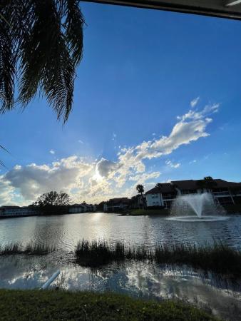 Meadow Brook, 209 Cypress Point Dr, Palm Beach Gardens, Florida 33418, image 3