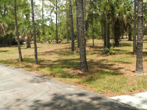 3036 6th Ave SE, Naples, Florida 34117, image 3