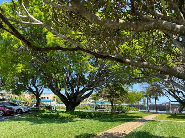 Village Royale Greenhaven, 230 NE 26th Ave #2070, Boynton Beach, Florida 33435, image 3