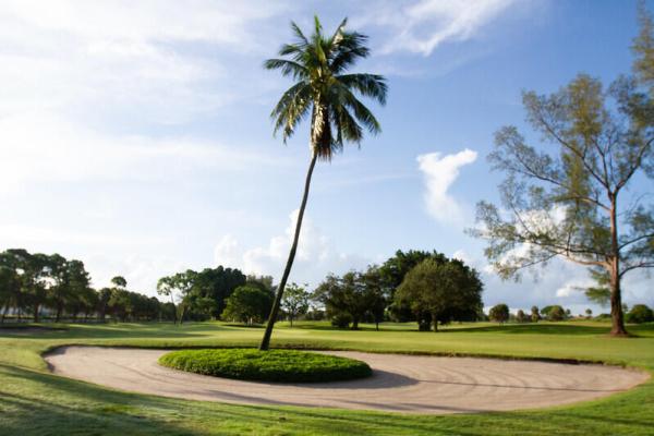 Palm-Aire Country Club 10, 4030 W Palm Aire Dr #306, Pompano Beach, Florida 33069, image 2