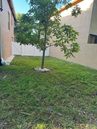 Nautica Lakes, 11487 Blue Violet Ln, Royal Palm Beach, Florida 33411, image 3