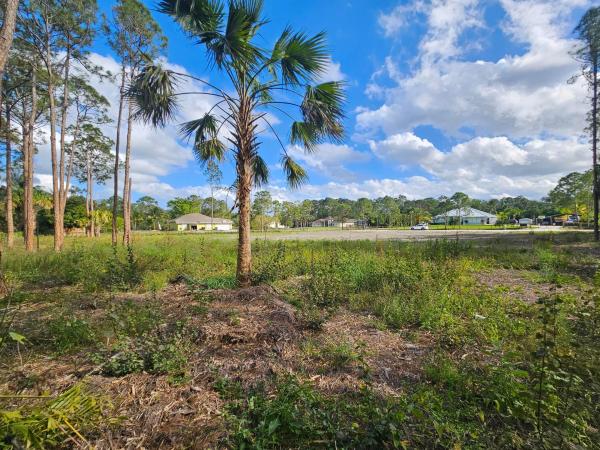 82 82nd Ln N, Loxahatchee, Florida 33470, image 1