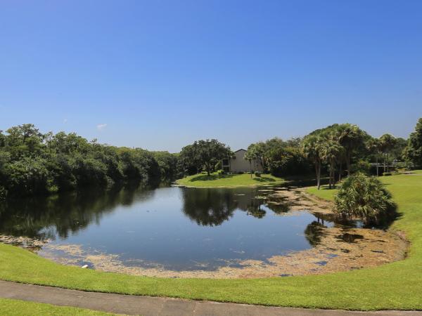 Tradewinds At The Township, 3000 NW 42nd Ave #B207, Coconut Creek, Florida 33066, image 1