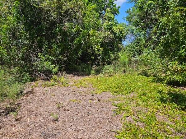 Palm Trails, 1762 SW Cochran St, Port St. Lucie, Florida 34953, image 3