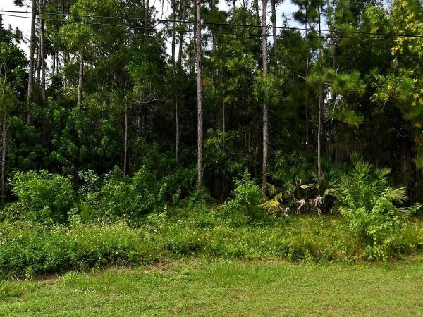 5468 NW Scepter Dr, Port St. Lucie, Florida 34983, image 1