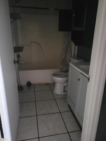 Surrey Woods, 2837 Stoneway Ln #D, Fort Pierce, Florida 34982, image 3