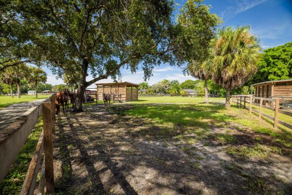 Palm Beach Farms, 4300 Vinkemulder Rd, Coconut Creek, Florida 33073, image 2