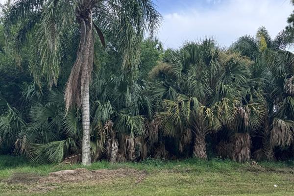 Oak Hammock, 908 SW Bay State Rd, Port St. Lucie, Florida 34953, image 2