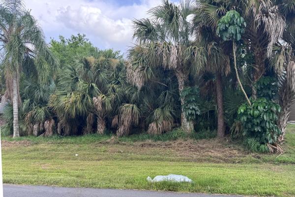 Oak Hammock, 908 SW Bay State Rd, Port St. Lucie, Florida 34953, image 3