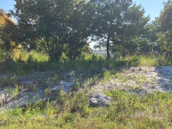 0000 Us Highway 1, Fort Pierce, Florida 34946, image 3