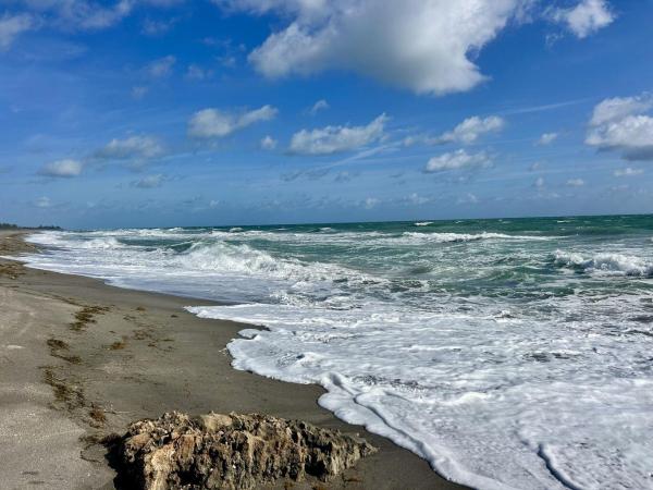 Blair House West, 331 Tequesta Dr #216, Tequesta, Florida 33469, image 1
