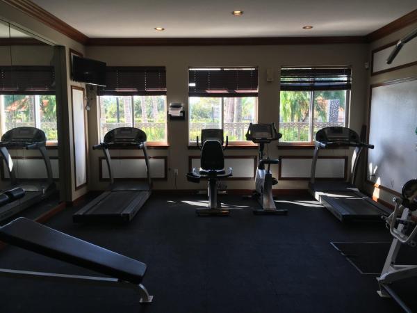 The Grand Isles, 4163 N Haverhill Rd #1203, West Palm Beach, Florida 33417, image 1