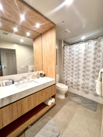 11 NE 6th St STREET #2606, Miami, Florida 33132, image 3