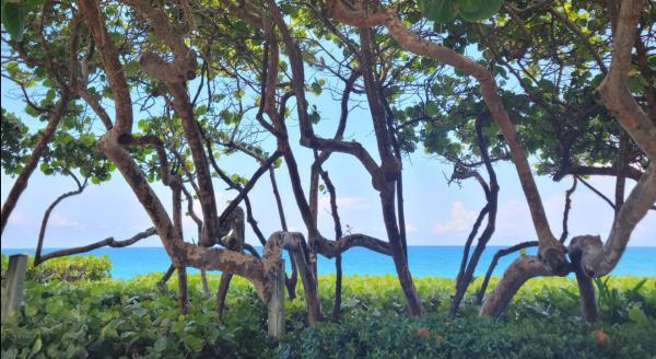 The Lakes At The Bluffs, 1909 19th Ct #33A, Jupiter, Florida 33477, image 2