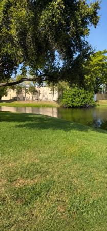 Woodlake Isles, 725 Banks Rd, Margate, Florida 33063, image 3