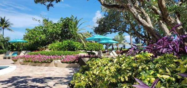 Sea Ranch Club B, 5000 N Ocean Blvd #1008, Lauderdale By The Sea, Florida 33308, image 3