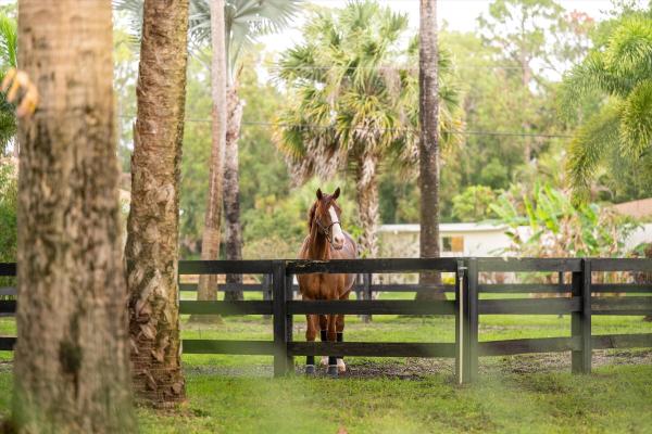 Loxahatchee Groves Residential, 1037 F Rd, Loxahatchee Groves, Florida 33470, image 3