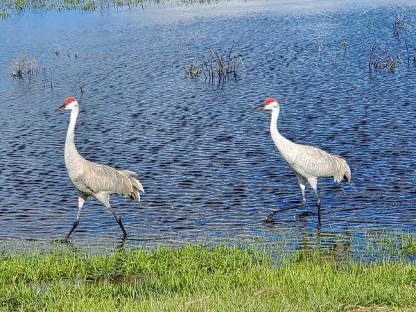 Surrey Woods, 2833 Stoneway Ln #B, Fort Pierce, Florida 34982, image 3