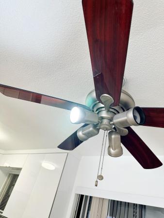 Matanzas, 1701 W 42nd Pl #43, Hialeah, Florida 33012, image 3