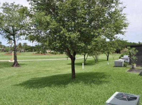 Fairway Club At Springtree, 3656 NW 83rd Ln, Sunrise, Florida 33351, image 3