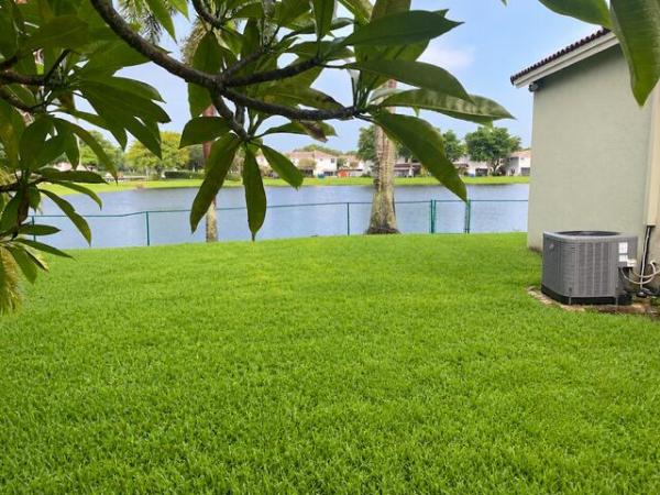 Portraits At Pembroke Pointe, 10627 NW 7th St, Pembroke Pines, Florida 33026, image 1