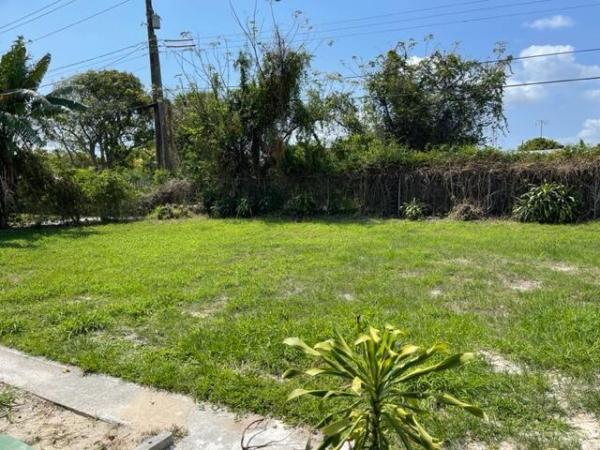 Country Club Park, 1038 Macy St, West Palm Beach, Florida 33405, image 1