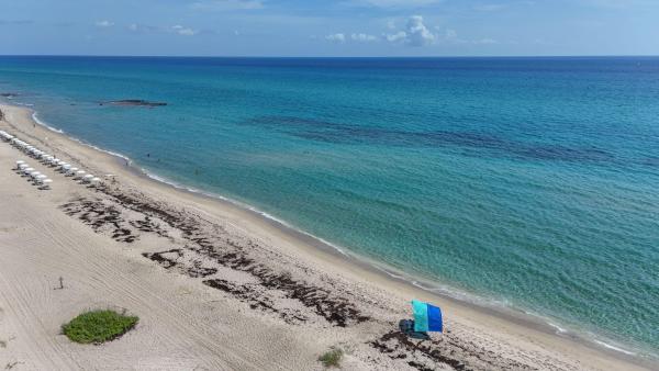 Villas On The Ocean, 3600 N Ocean Dr #324, Riviera Beach, Florida 33404, image 3