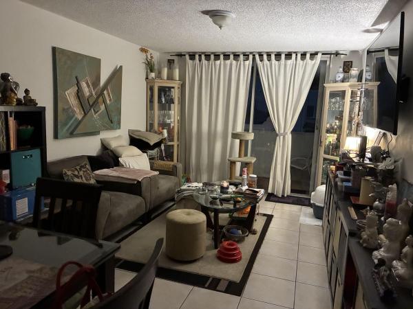 Aragon Plaza, 1010 NW 11th St #207, Miami, Florida 33136, image 3