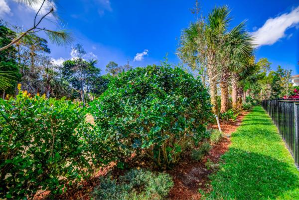 Binks Pointe, 15688 Italian Cypress Way, Wellington, Florida 33414, image 3