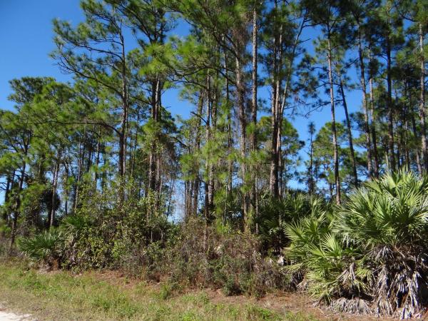 L-28 N 67th Ct, Loxahatchee, Florida 33470, image 1