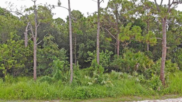 St Lucie Gardens, Tbd Shanas Trl, Fort Pierce, Florida 34952, image 1