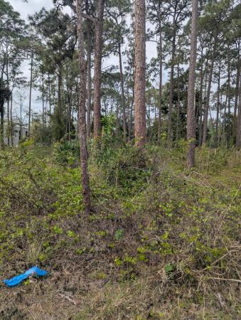 The Acreage, 5421 Royal Palm Beach Blvd BOULEVARD, West Palm Beach, Florida 33411, image 2