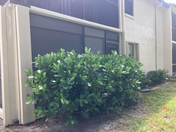 3323 Perimeter Dr #1616, Greenacres, Florida 33467, image 1