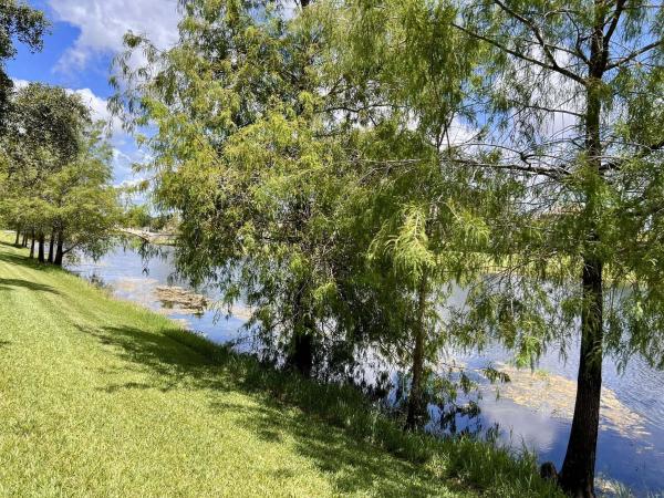 VillageWalk Of Wellington, 8095 Laborie Ln, Wellington, Florida 33414, image 1