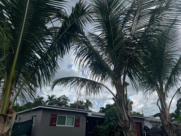 Riverland Village, 3340 SW 20th Ct, Fort Lauderdale, Florida 33312, image 1