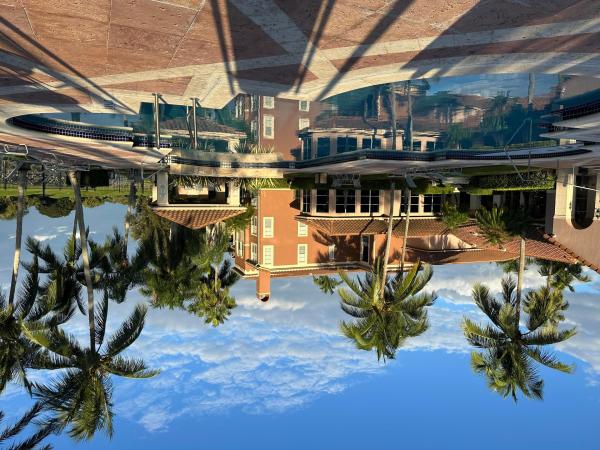 St Andrews At The Polo Club, 11750 Saint Andrews Pl #204, Wellington, Florida 33414, image 3