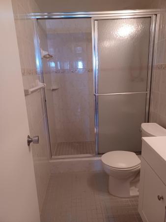 Domino One, 8001 N Crespi Blvd #2C, Miami Beach, Florida 33141, image 3