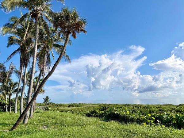 511 S Beach Rd, Jupiter, Florida 33455, image 3
