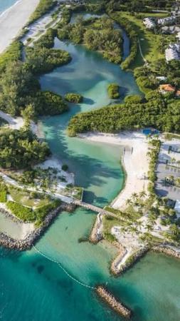 Ocean Parks, 300 N A1a #104J, Jupiter, Florida 33477, image 3