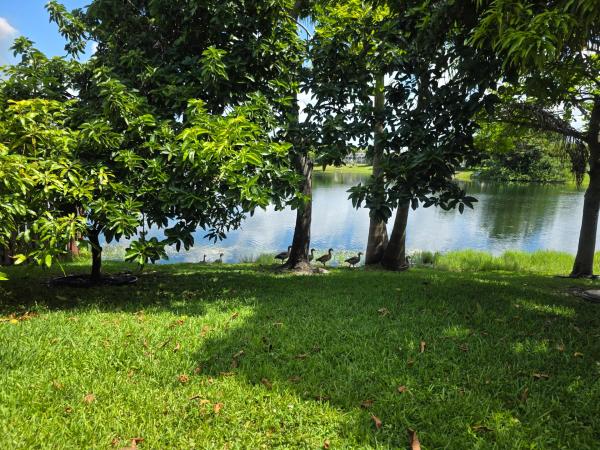 Villas Of Capri, 9753 NW 45th St, Sunrise, Florida 33351, image 2