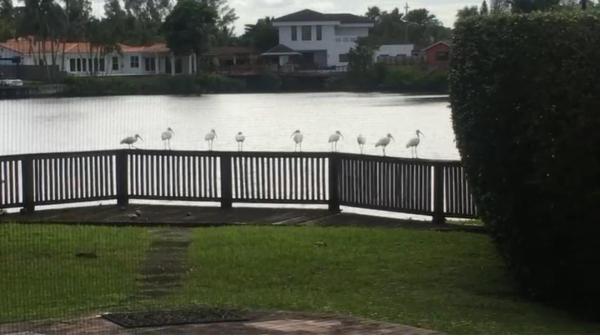 2390 NE 199th St, Aventura, Florida 33180, image 2