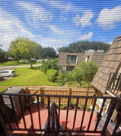 Forest Lakes Townhomes, 1540 Forest Lakes Cir #D, West Palm Beach, Florida 33406, image 3