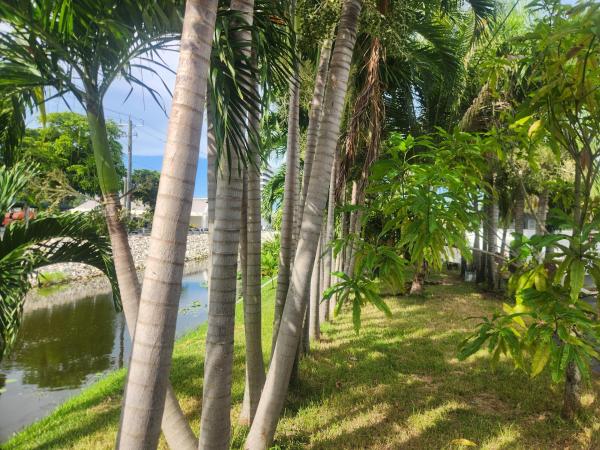 Palm Beach Lakes South, 225 S Sequoia Dr, West Palm Beach, Florida 33409, image 1
