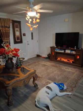 621 SW Stillman Ave, Port St. Lucie, Florida 34953, image 3
