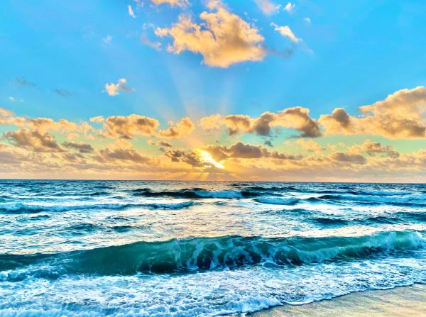 Tierra Del Mar, 950 Ponce De Leon Rd #1040, Boca Raton, Florida 33432, image 2