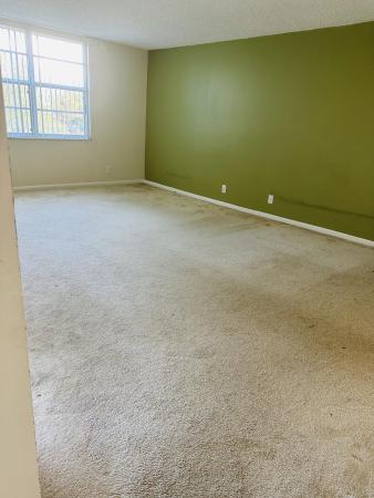 Boca Teeca, 6200 NW 2nd Ave #3110, Boca Raton, Florida 33487, image 2